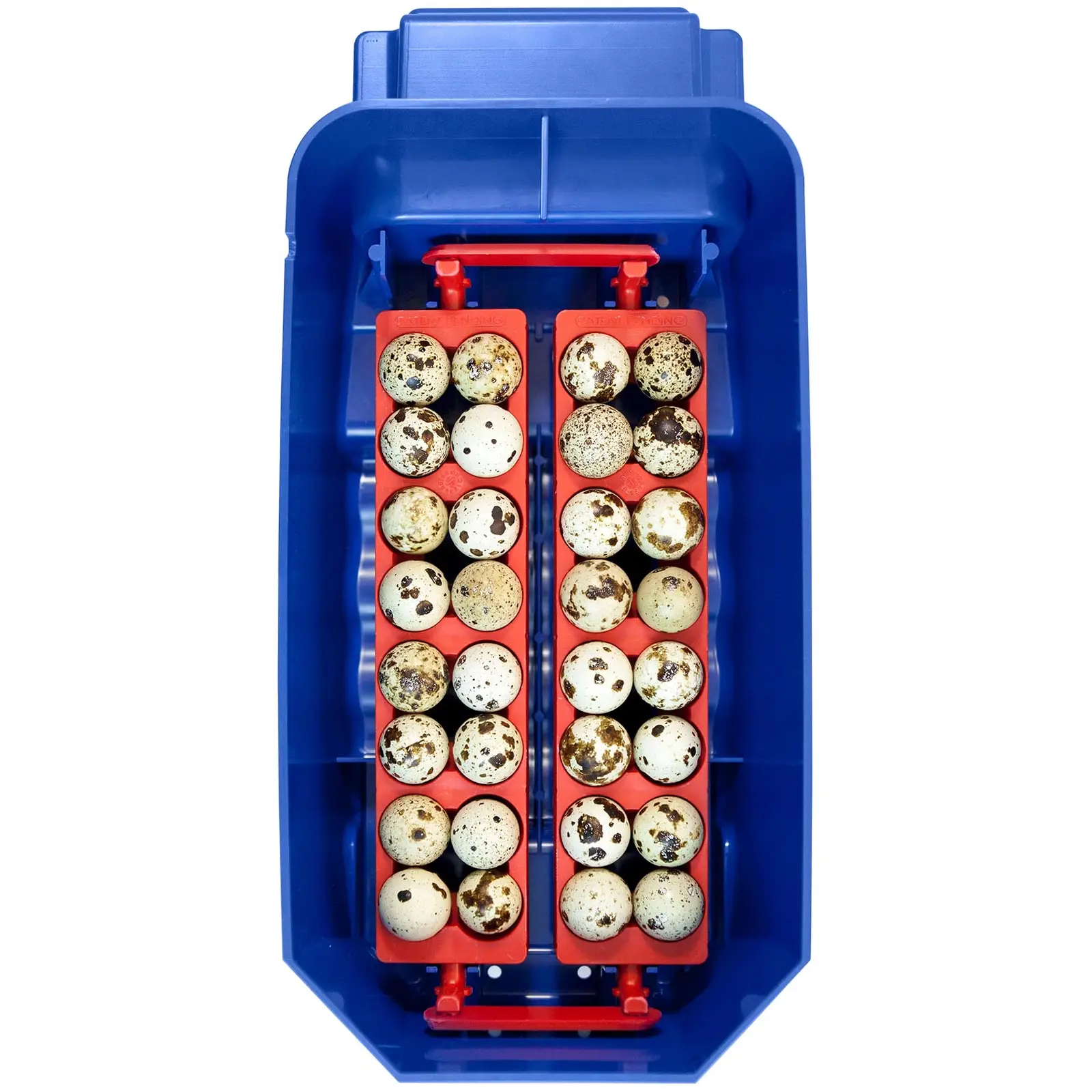 Incubator - 8 ouă - inclusiv sistem de udare - complet automat